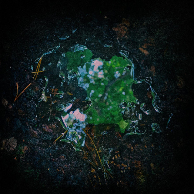 Ebwaidilīsnā cover art