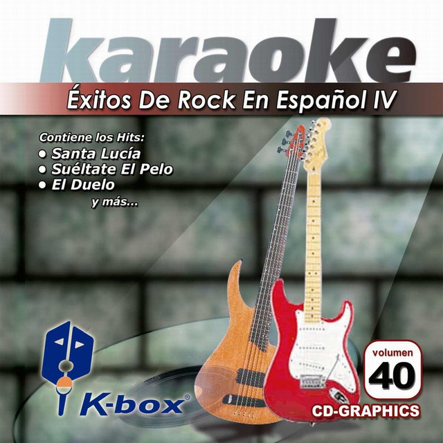 Karaoke Canciones De Los 80 En Español