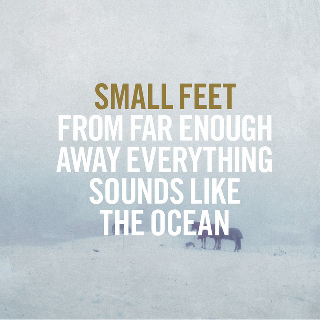 From Far Enough Away Everything Sounds Like the Ocean cover art