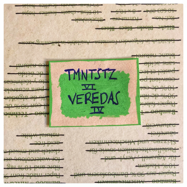 Tmntstz Vi Veredas Iv cover art