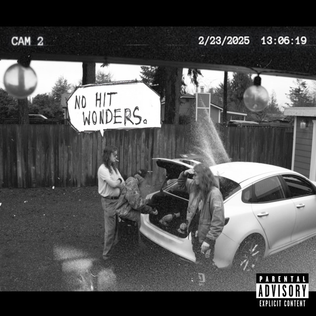 No Hit Wonders. cover art