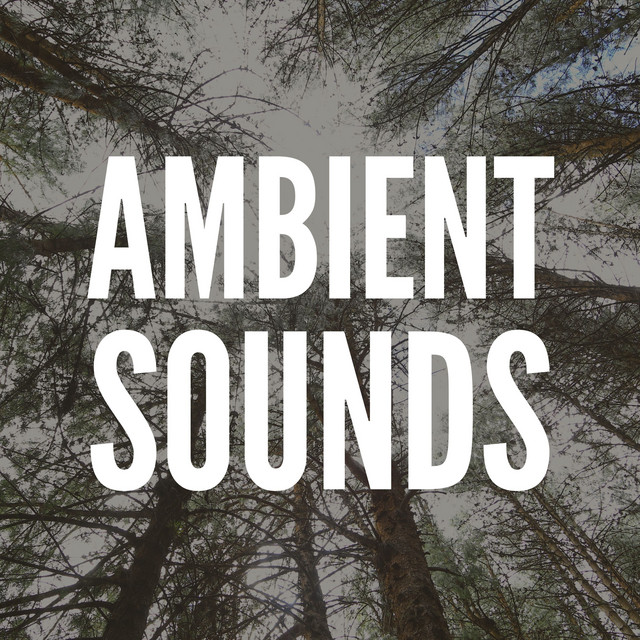 Ambient Sounds cover art