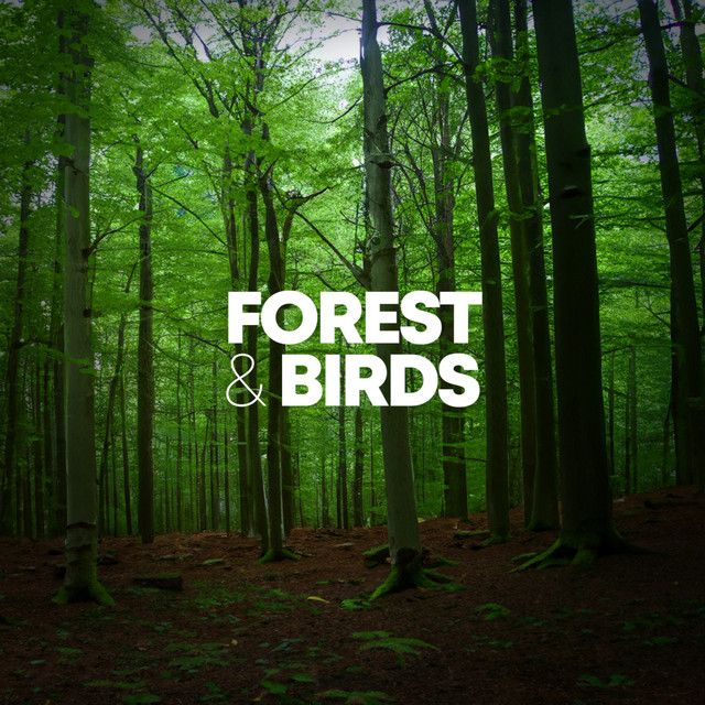 Forest & Birds cover art