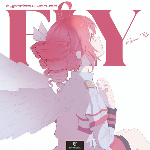 FLY album image