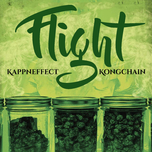 Flight cover art