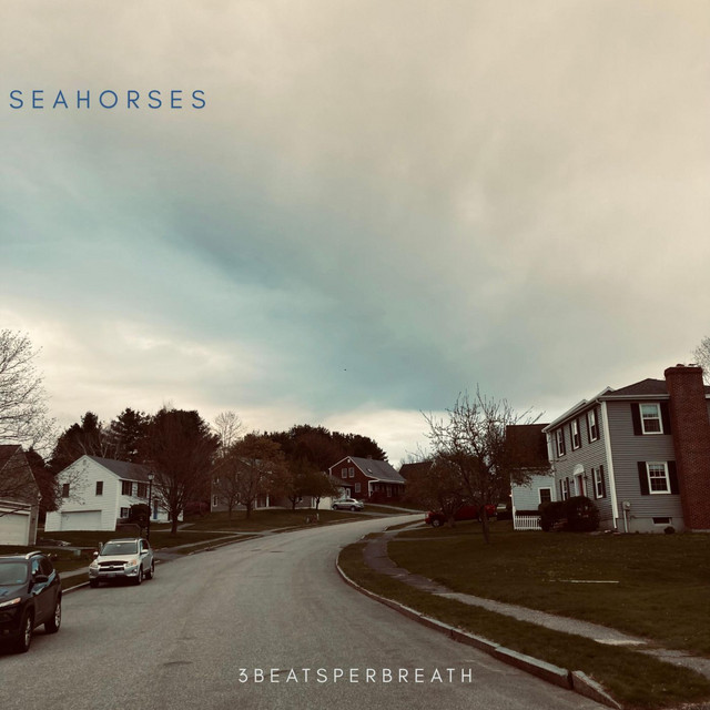 3beatsperbreath (single)
