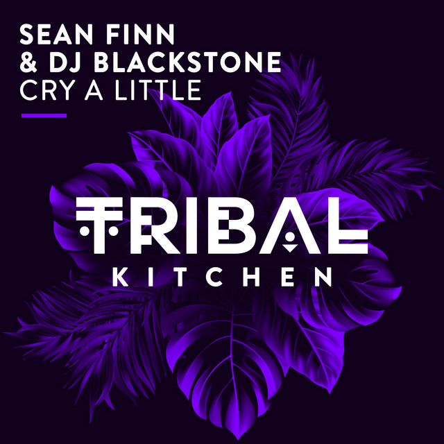 Cry a Little - Radio Edit