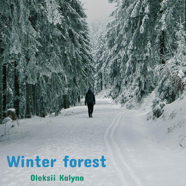 Обкладинка: Winter forest — Oleksii Kalyna