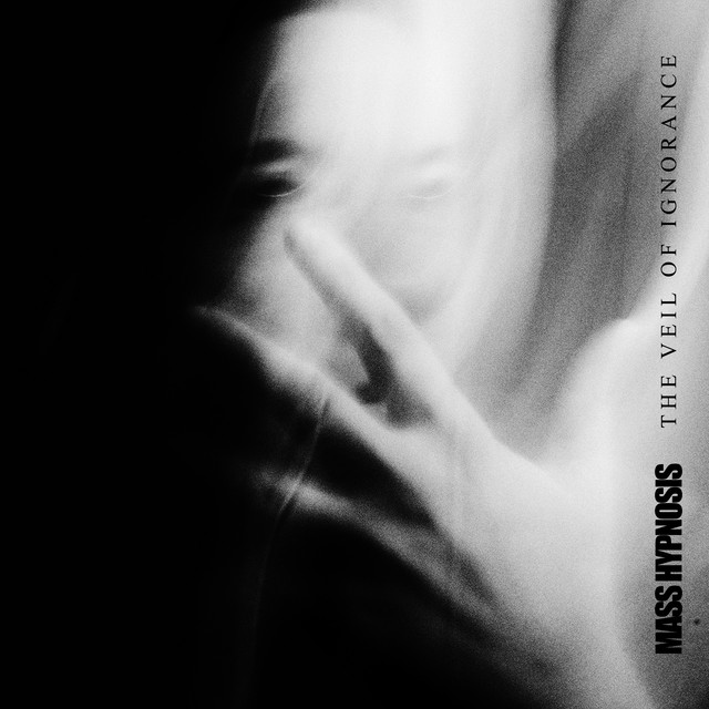 The Veil of Ignorance cover