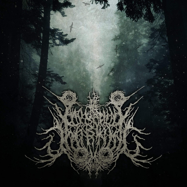 Mourning by Morning cover art