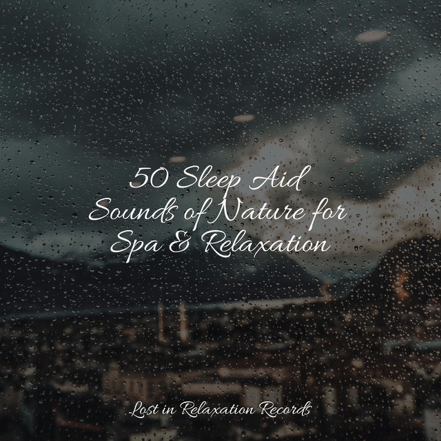 50 Sleep Aid Sounds of Nature for Spa & Relaxation - Album by ...