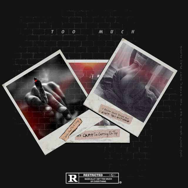 Too Much cover art