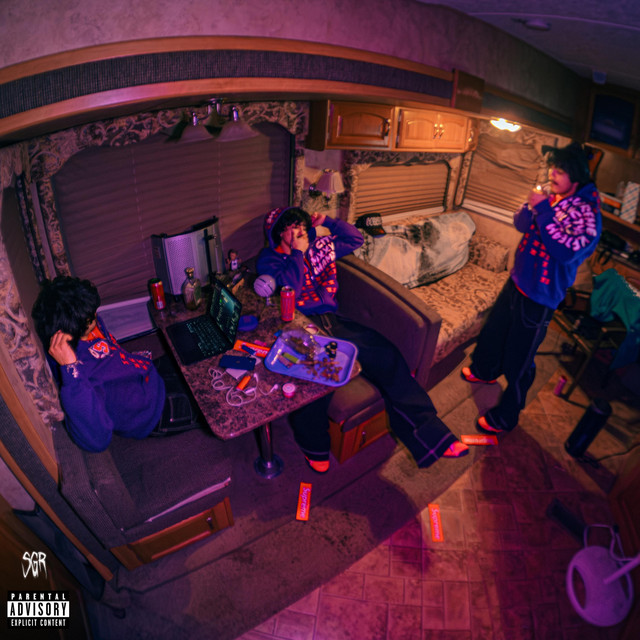 LVVS cover art