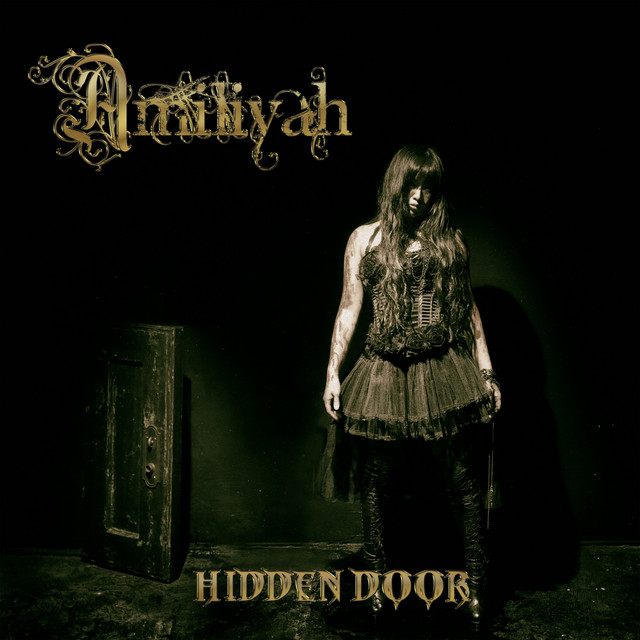 HIDDEN DOOR cover art