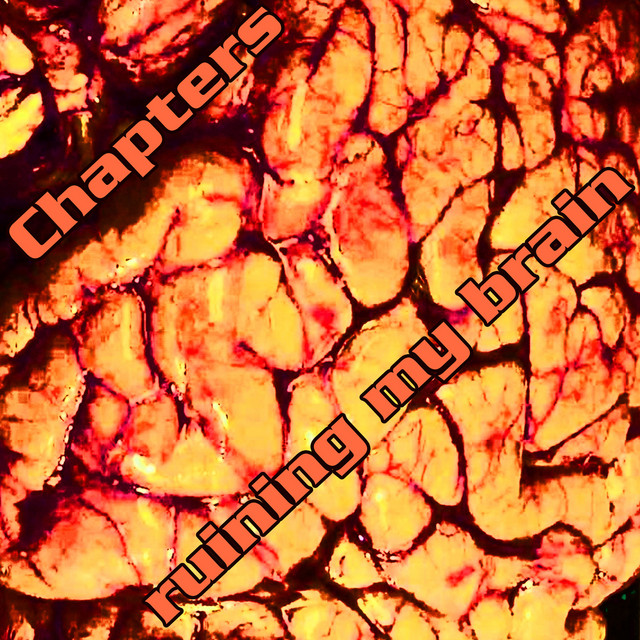 Ruining My Brain cover art