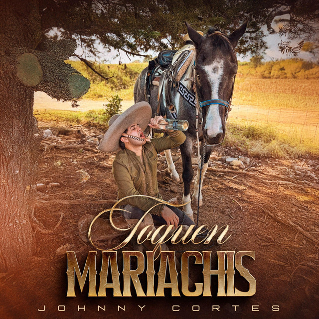 Toquen mariachis