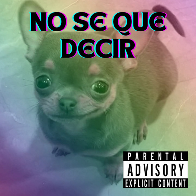 no se que decir cover