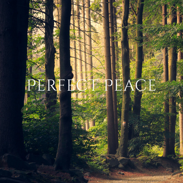 Calmness Strength cover art