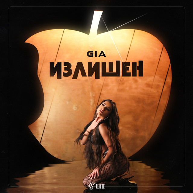Излишен cover art
