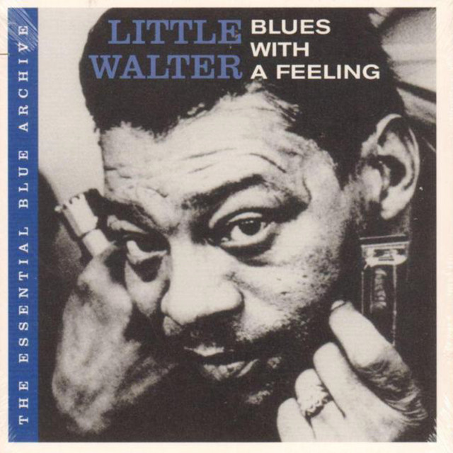 Go See To Walter プロモ盤 You Hate Little