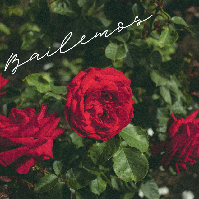 Bailemos cover art