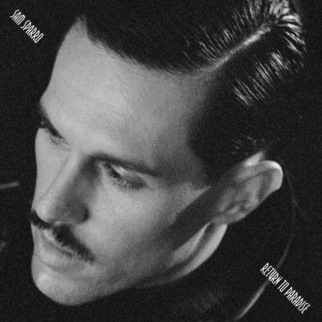 Return To Paradise cover art