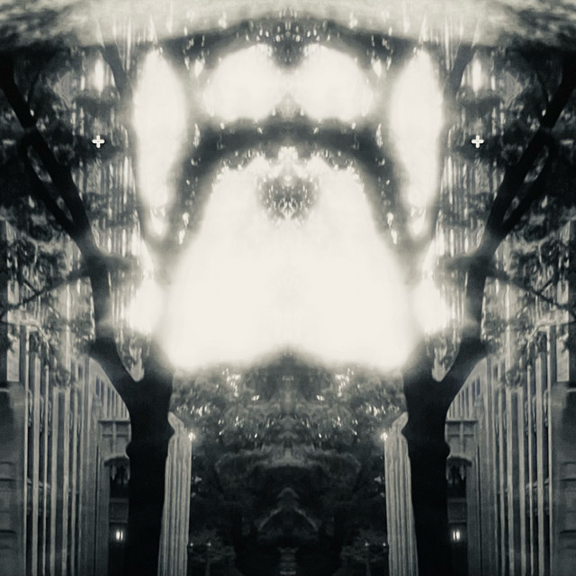 Ambient Trap cover art