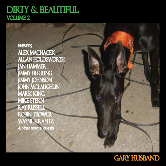 Dirty & Beautiful, Vol. 2 cover art