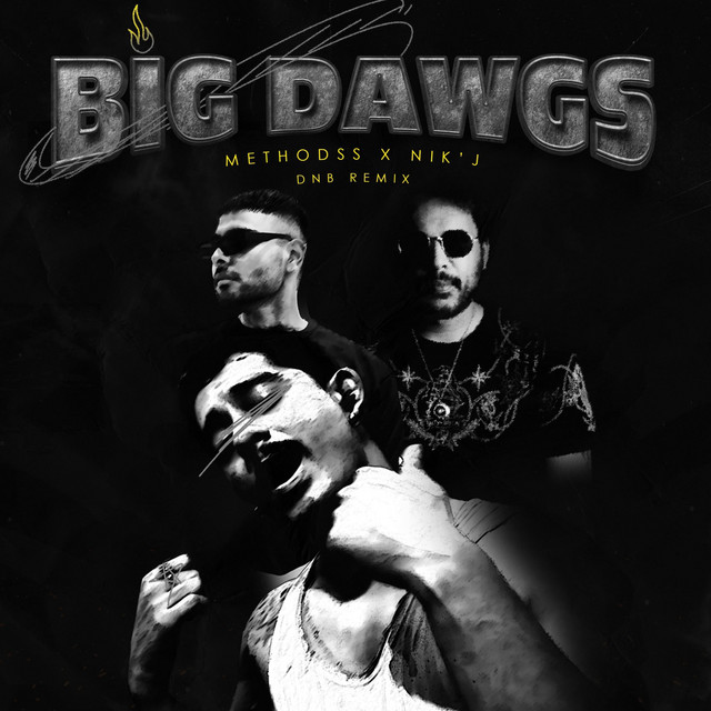Big Dawgs (DnB Remix) cover art
