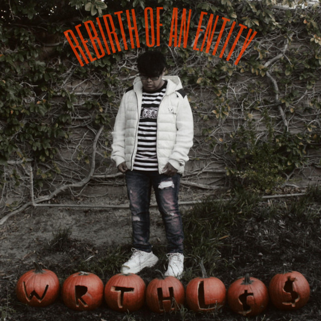 Rebirth of an Entity cover art