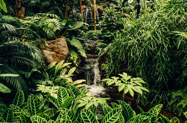 Oasis Wonders | Yoga in the Nature cover art