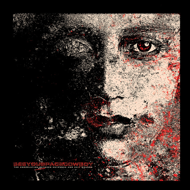 The Correlation Between Entrance and Exit Wounds cover art