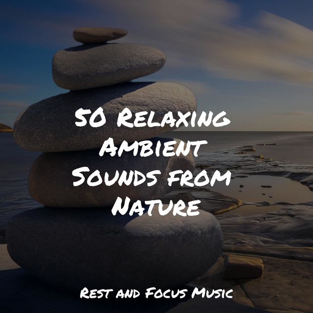 50 Relaxing Ambient Sounds from Nature - Album by Meditation | Spotify