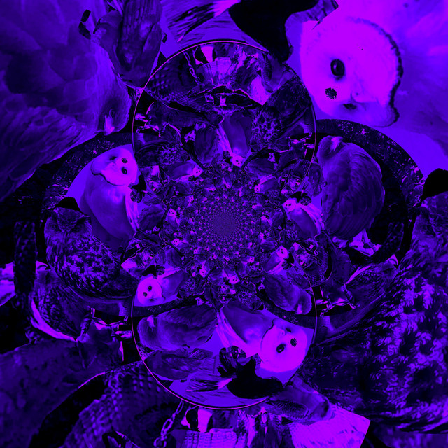 DJ Johnnie Walker cover art