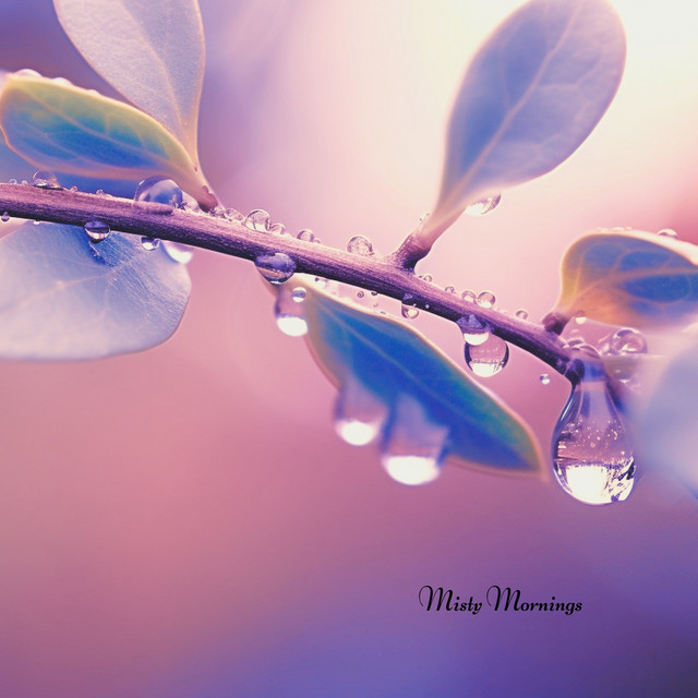 Misty Mornings by Qetesia