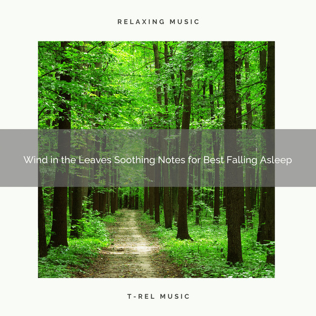 2021 New: Wind in the Leaves Soothing Notes for Best Falling Asleep cover art
