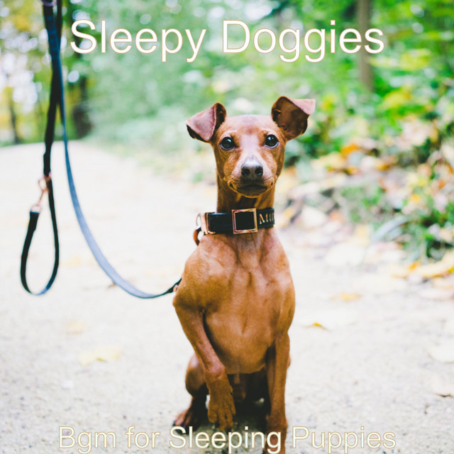 Bgm for Sleeping Puppies cover art