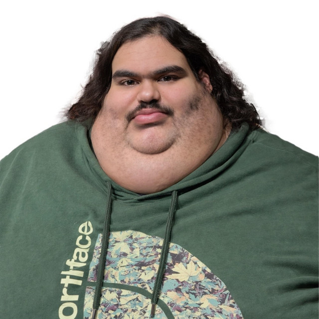 THE FAT ALBUM cover art