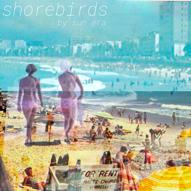 shorebirds cover art