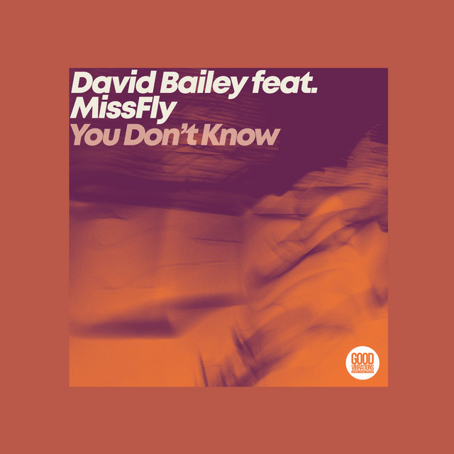 You Don't Know cover