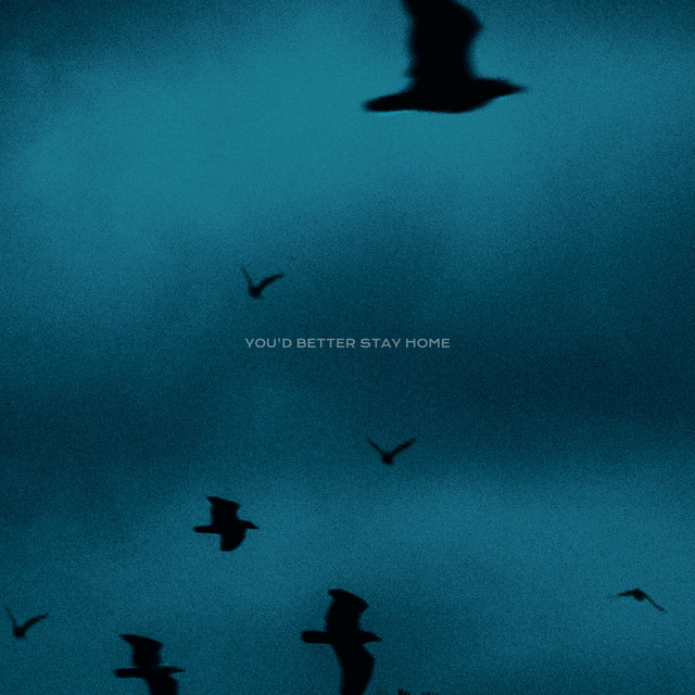Обкладинка: You'd Better Stay Home — Taras Bazeev