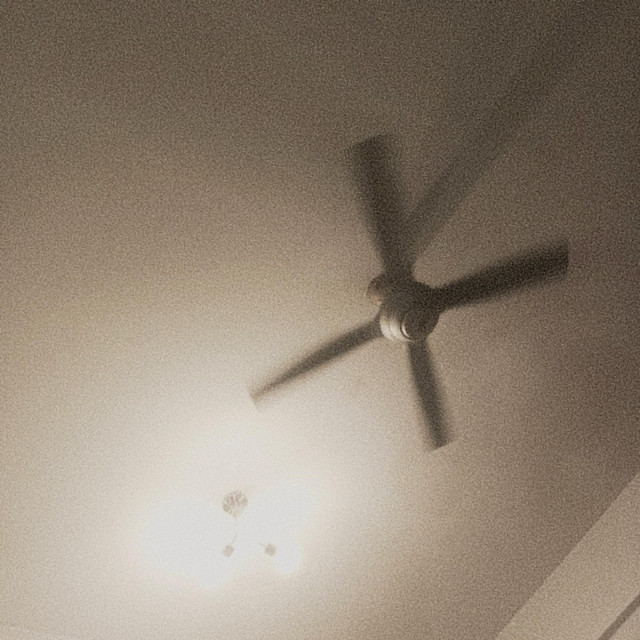 ceiling fan cover art