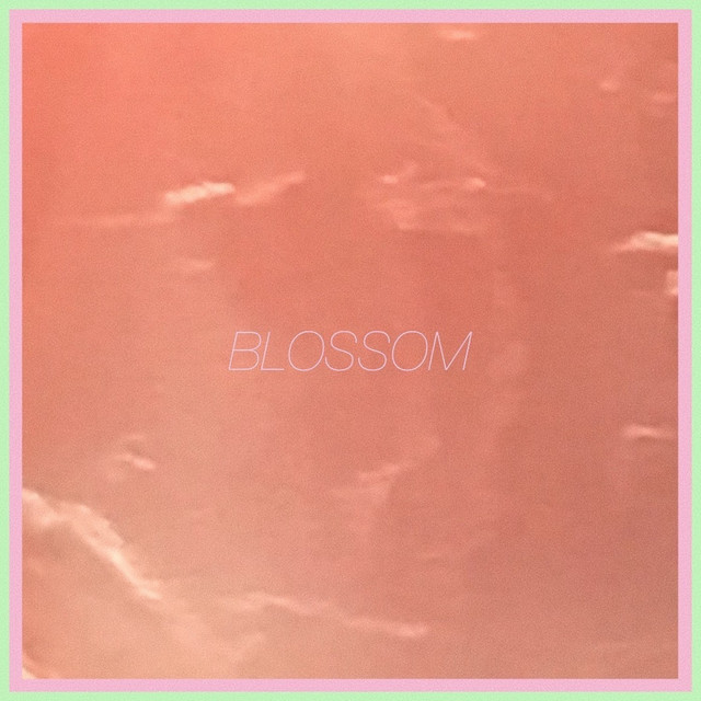 Blossom cover art