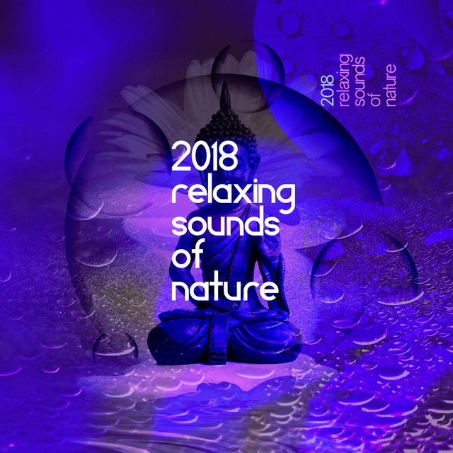 2018: Relaxing Sounds of Nature - Album by Sleep Sounds of Nature | Spotify