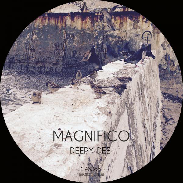 Magnifico cover