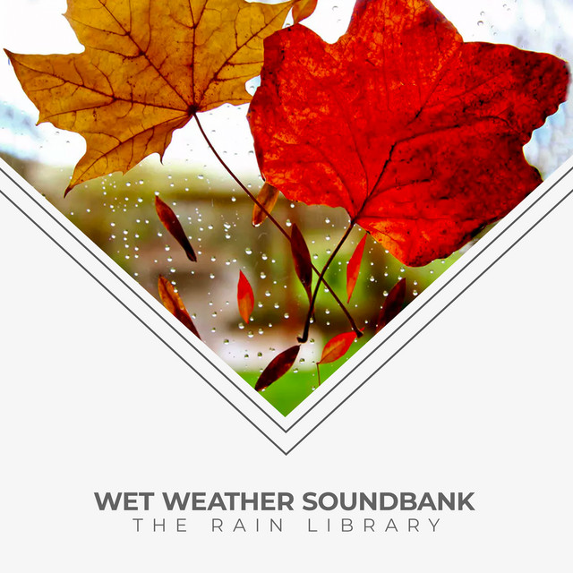 Wet Weather Soundbank cover art