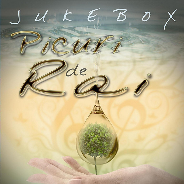 Picuri De Rai cover art