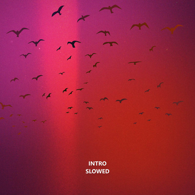 Обкладинка: Intro - slowed — YUIR
