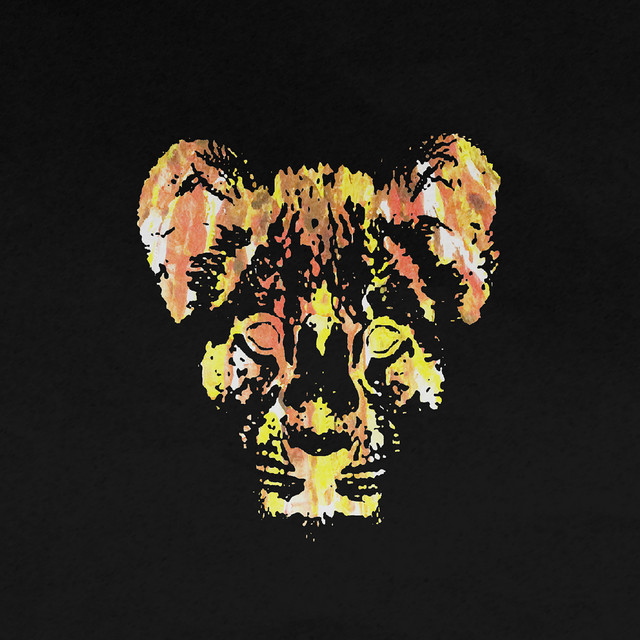 Burn cover art