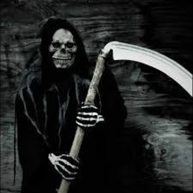 Va Grim Reaper cover art